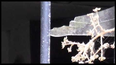 Shattered (Documentation of the exhibition) - 2011