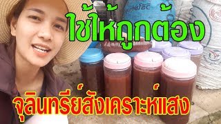 อัตราการใช้จุลินทรีย์สังเคราะห์แสง ให้เกิดประโยชน์กับพืชผักมากที่สุด