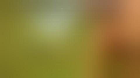 Internet Comment Etiquette: "Weed Channels"