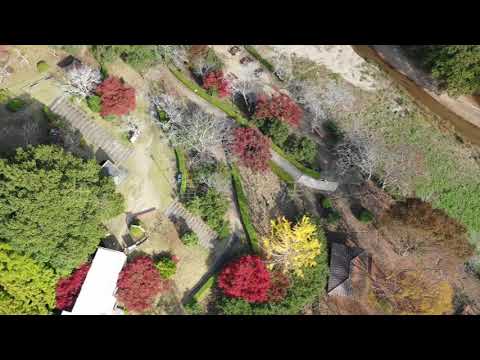 ドローン空撮映像「王滝渓谷　紅葉」