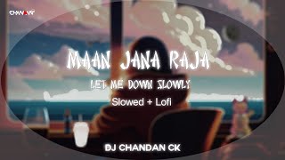 Maan Jana Raja X Let Me Down Slowly | Slowed   Lofi | Remake | By Dj Chandan Ck | Cg Lofi 2023