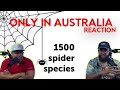 Americans React to 50 Things That Are Only Possible In Australia