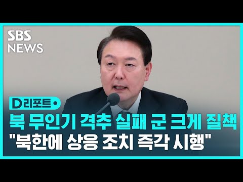 윤 대통령, &amp;#39;북한 무인기 격추 실패&amp;#39; 군 관계자 질타 / SBS / #D리포트