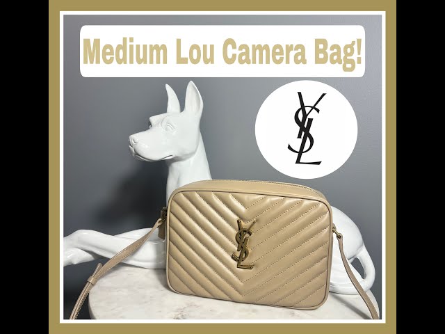 Ysl dog bag hotsell