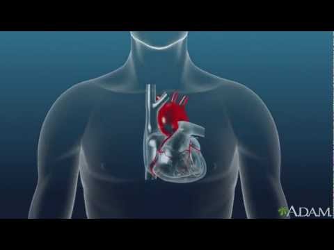 Video: Why Is The Heart Beating