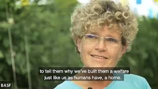 Lanzamiento Serifel Trazando El Camino Hacia Un Nuevo Modelo