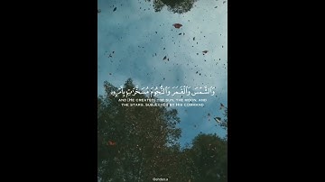 أحمد العجمي| آيات من الذكر الحكيم|تلاوة هادئة|أرح قلبك
