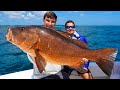 MONSTER Cubera Snapper on Popper! (Catch n Cook)