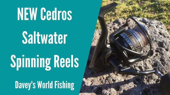 Okuma's Cedros Spinning Reels-CASTING! PLUGGING! JIGGING! 