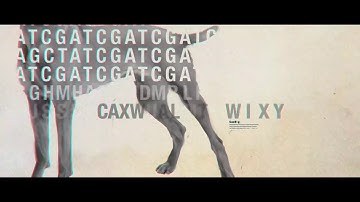 Intro unnatural selection