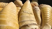 外で屋根がある場所が好きです Youtube