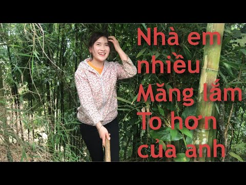 Culuc - Em Hoa Lan và Em Cá rủ Cu lực Lên Núi Đào Măng | Foci