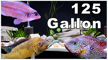 Jak těžká je plná nádrž o objemu 125 galonů?