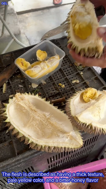 One Of The Best Penang Durian 40 Years Old Tree Green Skin Chaer Phoy #penang #durian #shorts #short