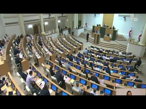 ნიკა მელიას იმუნიტეტის მოხსნის საკითხი