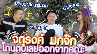 กว่าจะเป็นจตุรงค์ต้อง..เสีย..‼️ #ครัวลุงรงค์ #นายเดอะคอมเมเดี้ยน #นายจี๊ดชาแนล