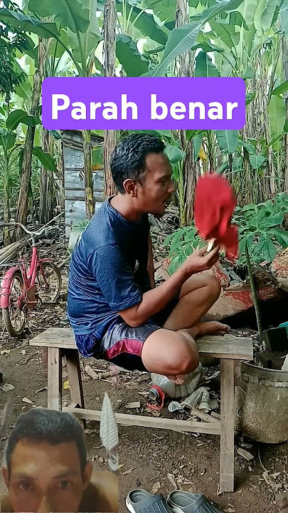alat berat wanita ini diserang serangga.video lucu bikin ketawa ngakak #memengakakkocak #lucu
