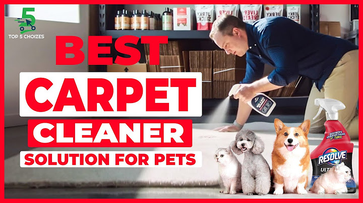 What is the best carpet cleaning solution for pet stains