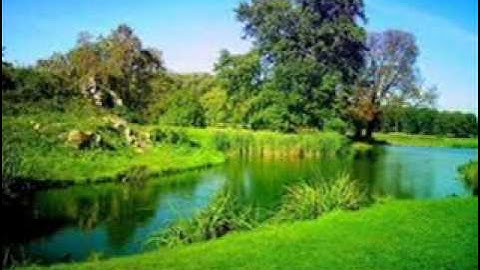 القارىْ محمود عاقول سورة يس 6 2 2013