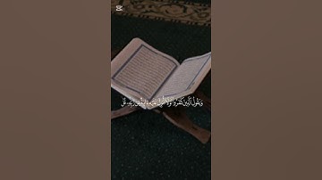((الا بذكر الله تطمئن القلوب)) تلاوة الشيخ محمد المنشاوي رحمه الله❤❤❤