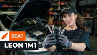 Hoe Ruitenwisser veranderen SUZUKI SWIFT IV (FZ, NZ) - handleiding