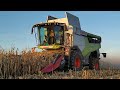Claas Lexion 6600 + Geringhoff | Žatva kukurice 2021 | PD Dolný Lopašov