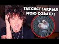 3 СТРАШНЫЕ ИСТОРИИ С МОИМИ СОБАКАМИ! КАК ЗА НИХ ТРЕБОВАЛИ ДЕНЬГИ!