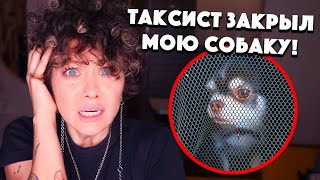 3 СТРАШНЫЕ ИСТОРИИ С МОИМИ СОБАКАМИ! КАК ЗА НИХ ТРЕБОВАЛИ ДЕНЬГИ!