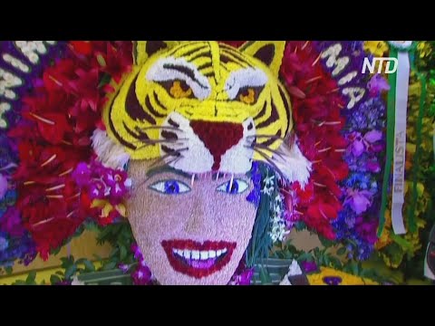 Video: Silleteros na kvetinovom festivale v Medelline v Kolumbii
