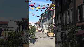 What can you do in the street ouf Geneva? #geneva #swiss #tatianafaure