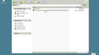Trojan.win32.Filecoder.c
