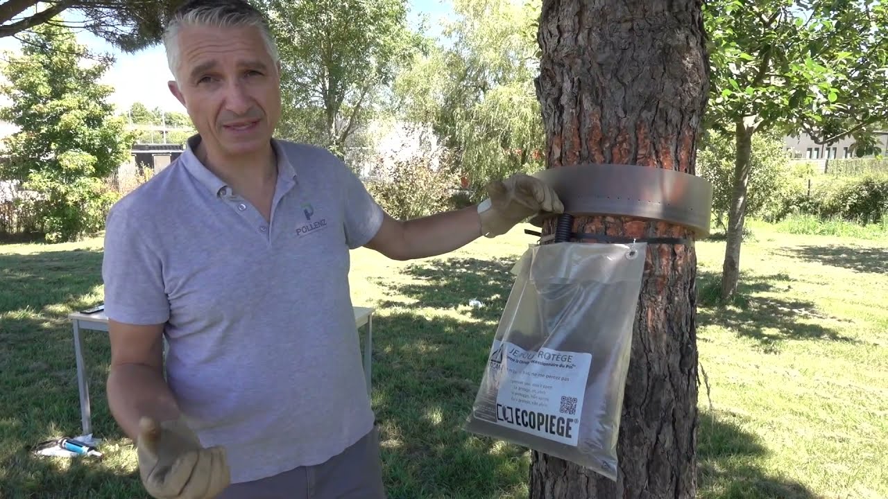Tuto Polleniz - l'Ecopiège : quand le poser et comment l'entretenir ?