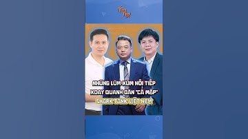 NHỮNG LÙM XÙM NỐI TIẾP XOAY QUANH DÀN "CÁ MẬP" SHARK TANK VIỆT NAM #tintuc #sharktank