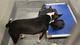 acs A652499
