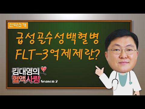 [김대영의 혈액사랑] 신약소개: 급성골수성백혈병의 FLT-3 억제제란?