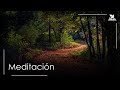 🎶 Desapego Emocional con Meditacion Sanadora | Musica para Meditar | Meditación en Naturaleza 🍃🌿