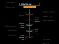 How to Become a Frontend Developer in 2025 | Learn HTML CSS JS Fast #NextGenCoding #CodingShorts