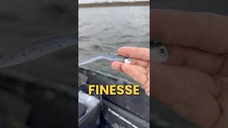 Chat Gpt Said This The Best Finesse Bait For Fishing On Windy Days?