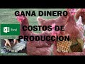 COMO GANAR DINERO CON 500 GALLINAS DESDE CERO, Costos, Alimeto, Excel, Guia de manejo