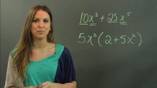 How to Factorize Using the Highest Common Factor : Math Tutoring
