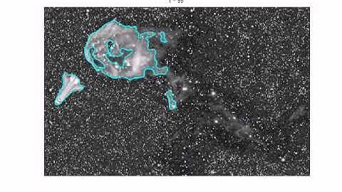 CPSC525: Object Tracking in Video Using Particle Filtering and Symmetry