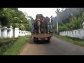 Elephants transportation in Sri Lanka
