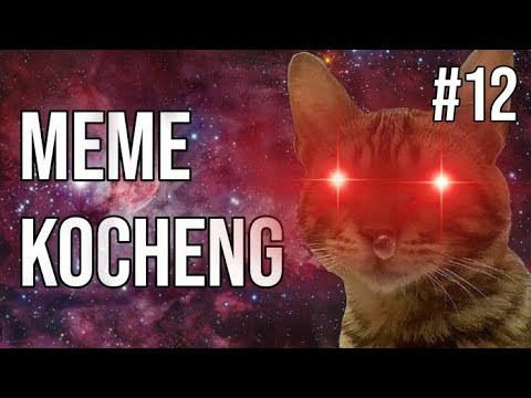 kocheng-oren-bar-bar-is-back-!-meme-kucing-#12