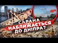 Аномальне нашестя Чи зможе сарана знищити врожай у 2025 Аномальне нашестя Чи зможе сарана знищити врожай у 2025