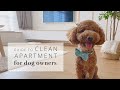 Dog Owners Guide to a Clean Apartment + BOWTIX review