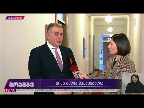 ნიკა მელიას დაკავება - განცხადებები პარლამენტში