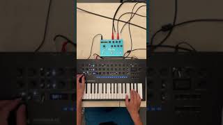 Korg Minilogue Xd Strymon Big Sky Synthesizer Improvisation 