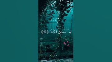 وأما من خاف مقام ربه .. القارئ إسلام صبحي .. من سورة النازعات