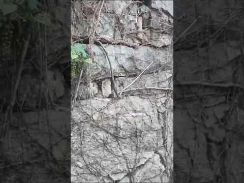 How Did We Miss It For So Long