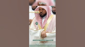 تلاوة خاشعة 🕊 سورة البقرة 🌿  الشيخ أ.د ماهر بن حمد المعيقلي